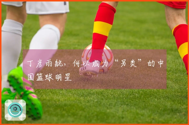 丁彦雨航，何以成为“另类”的中国篮球明星